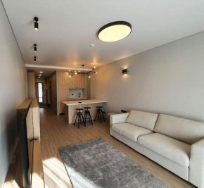 Cozy flat 911